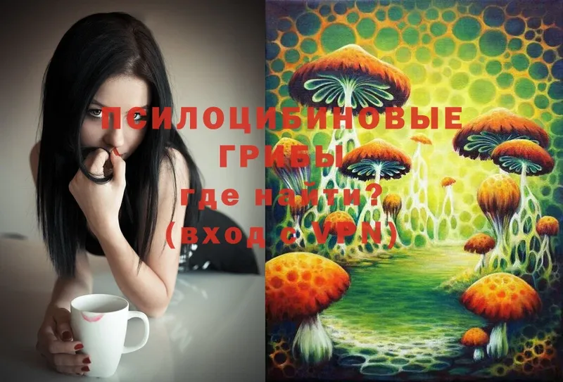 Галлюциногенные грибы Psilocybe  Бикин 